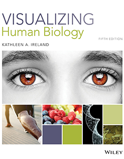 featured-image